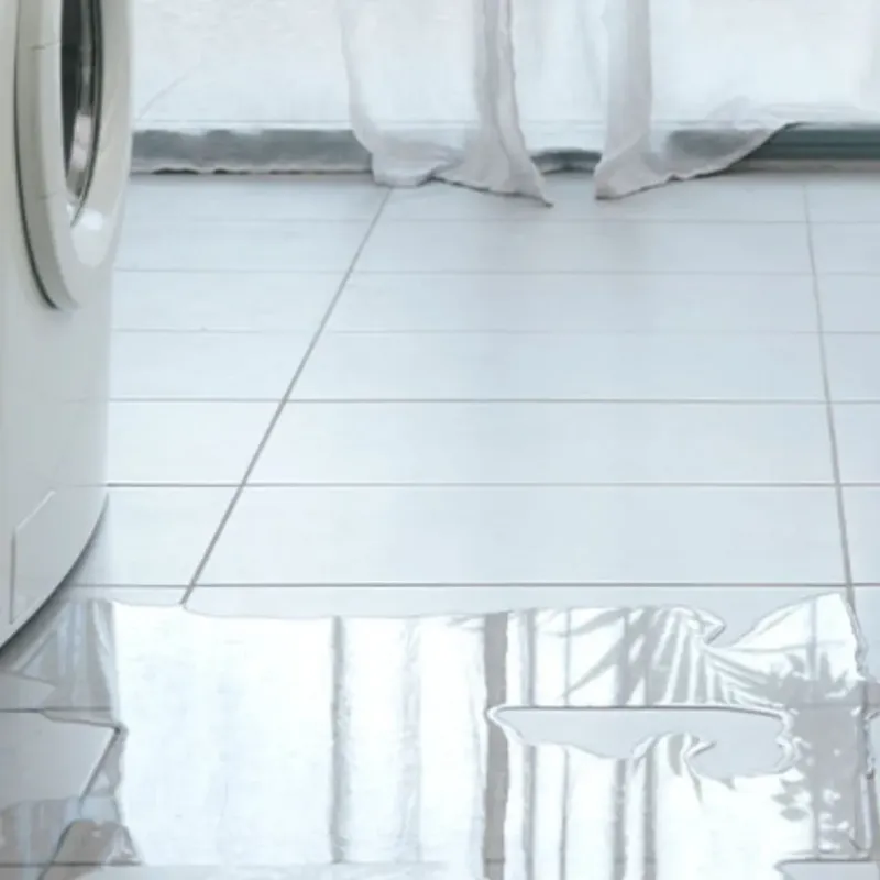 Appliance Leak Cleanup in Bryan, TX