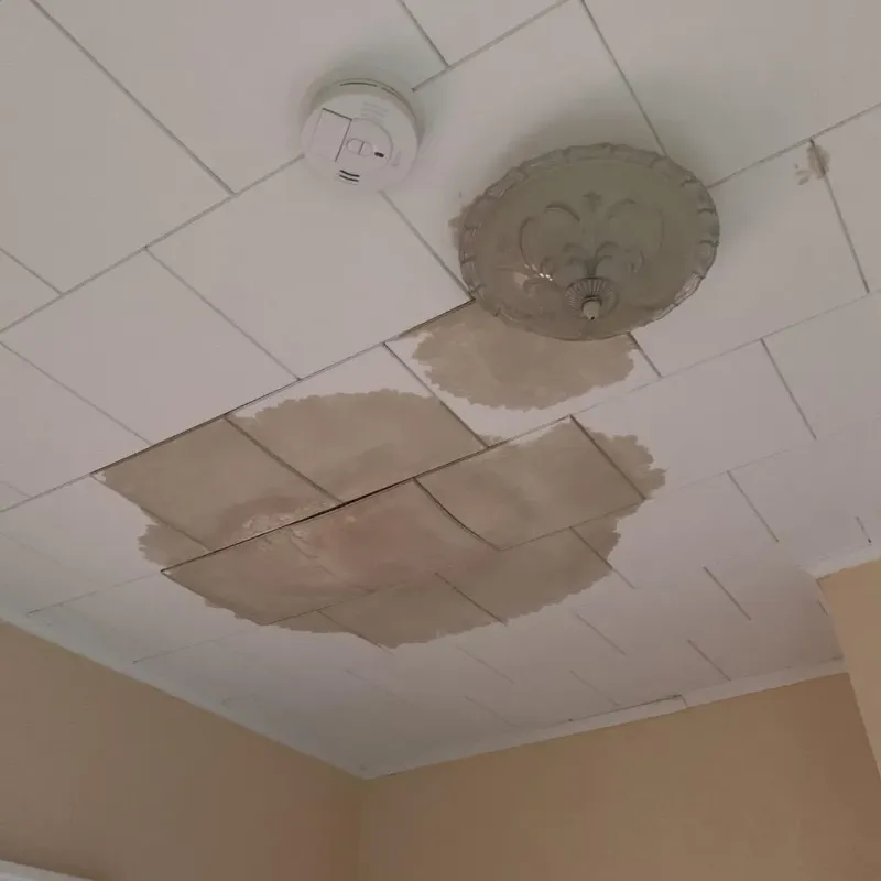 Ceiling Water Damage Repair in Bryan, TX