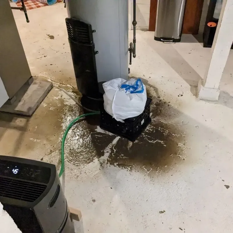 Sewage Backup Cleanup Service in Bryan, TX